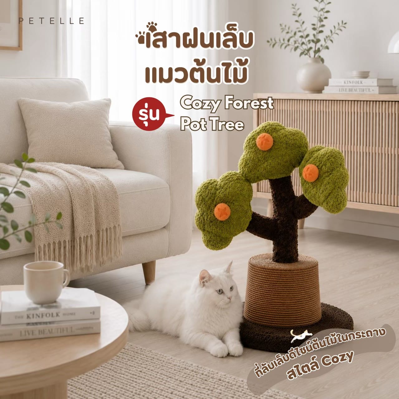 ที่ลับเล็บแมว PETELLE รุ่น COZY FOREST POT TREE_1